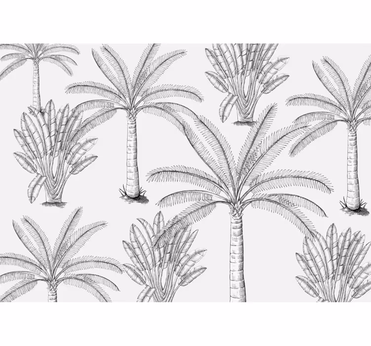 Foto behang bomen palmboom schetsen - TenStickers