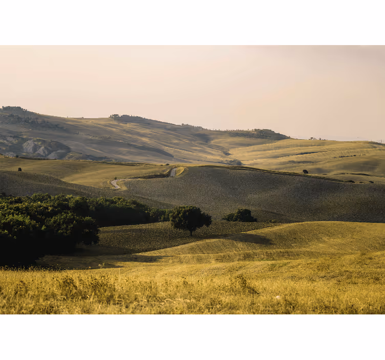 Fototapet landschap glooiende heuvels - TenStickers