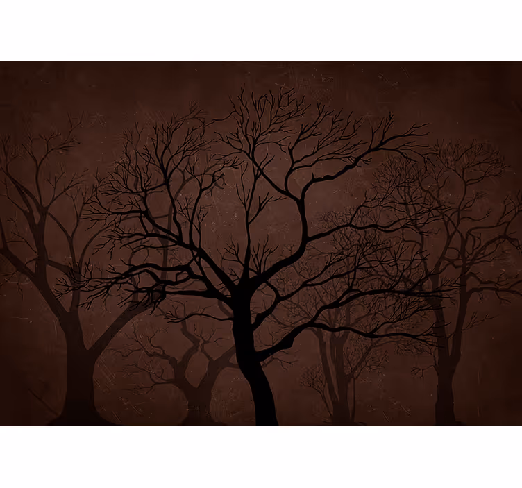 Foto behang bos donkere silhouet bomen - TenStickers