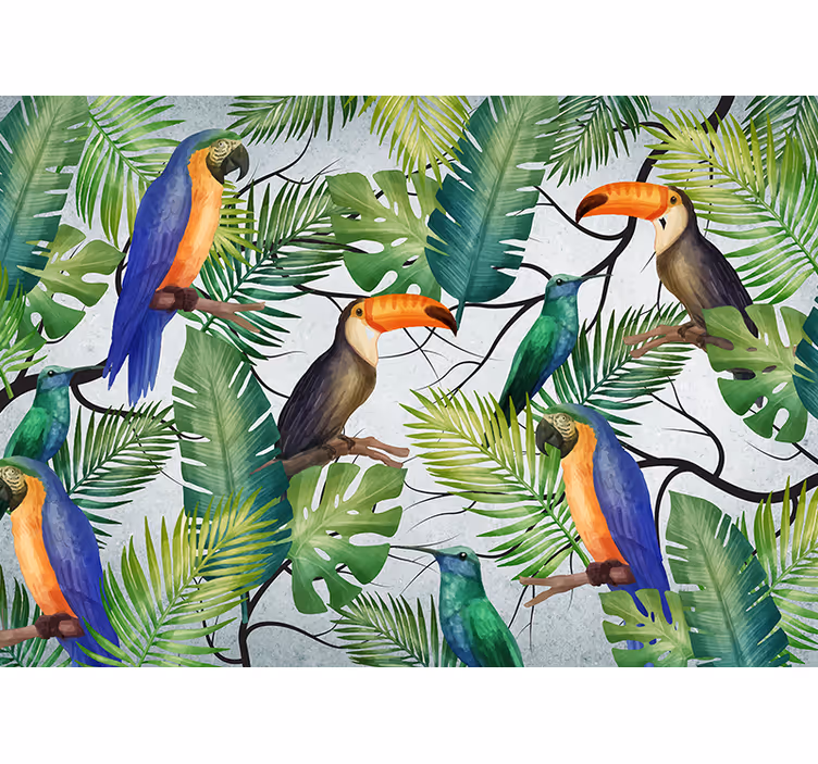 Foto behang dieren tropisch vogels thema - TenStickers