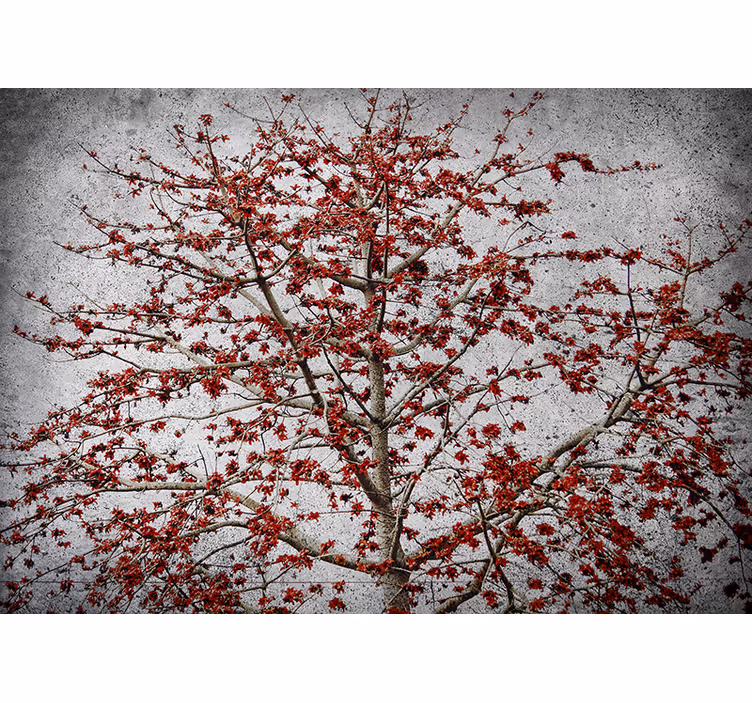 Bloemen foto behang rode bloesem boom - TenStickers