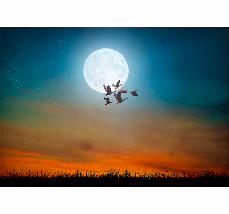 Fotobehang natuur maanverlichte lucht - TenStickers