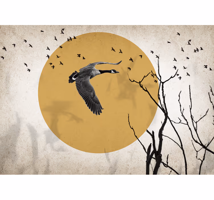 Foto behang dieren vliegende ganzen silhouet - TenStickers