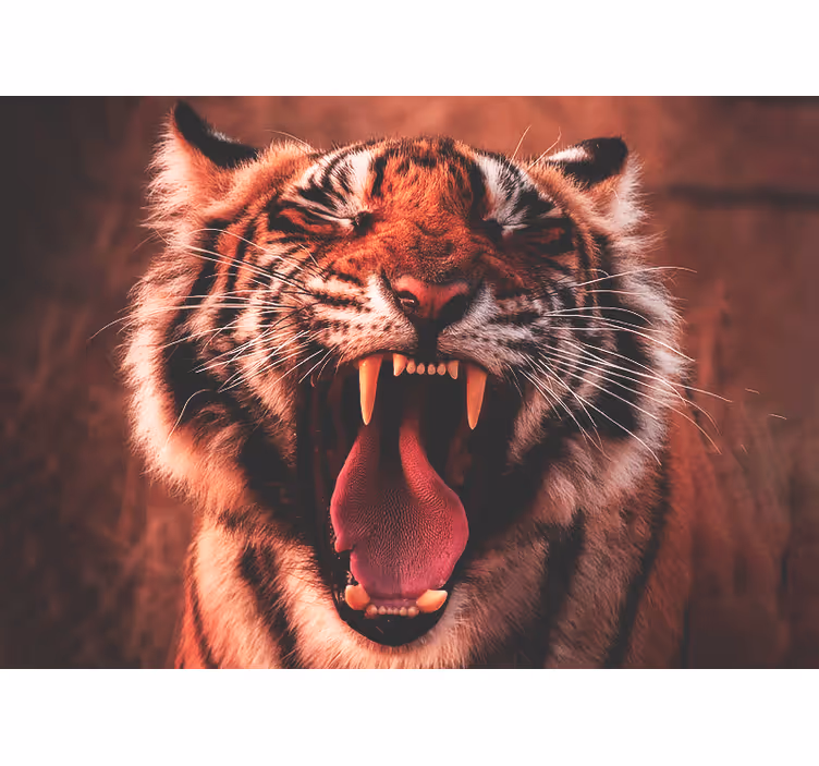 Fotobehang verschillende dieren majestueuze tijger brul - TenStickers