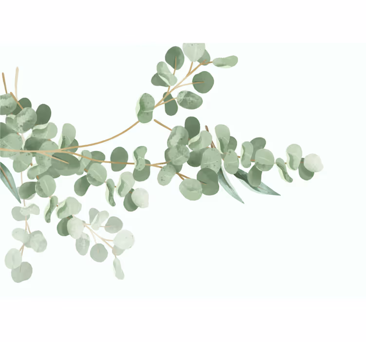Fotobehang bloemen eucalyptusblad arrangement - TenStickers