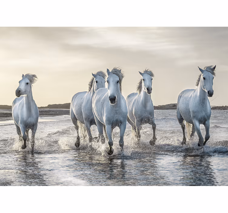 Rennende witte paarden over strand fotobehang - TenStickers