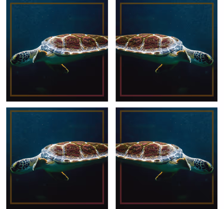 Moderne onderzetters met elegante zeeschildpad afbeelding - TenStickers