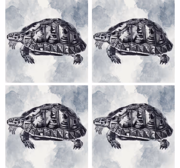 Artistieke schildpadillustratie enge onderzetters - TenStickers