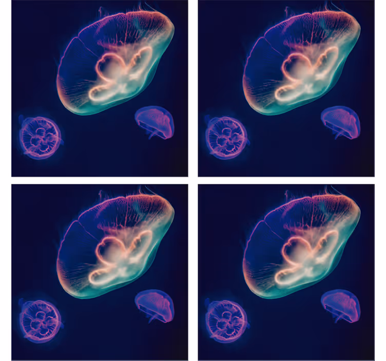 Enge onderzetters kleurige medusa wezens - TenStickers