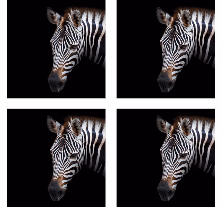 Moderne onderzetters met zebra kop illustratie - TenStickers