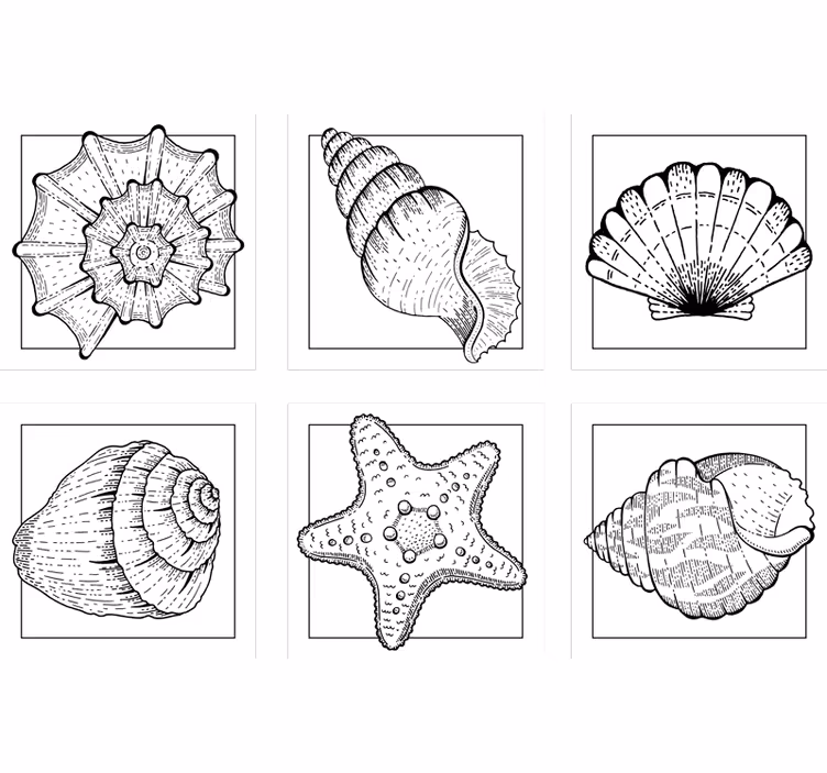 Onderzetters met ingewikkelde schelppatronen - TenStickers