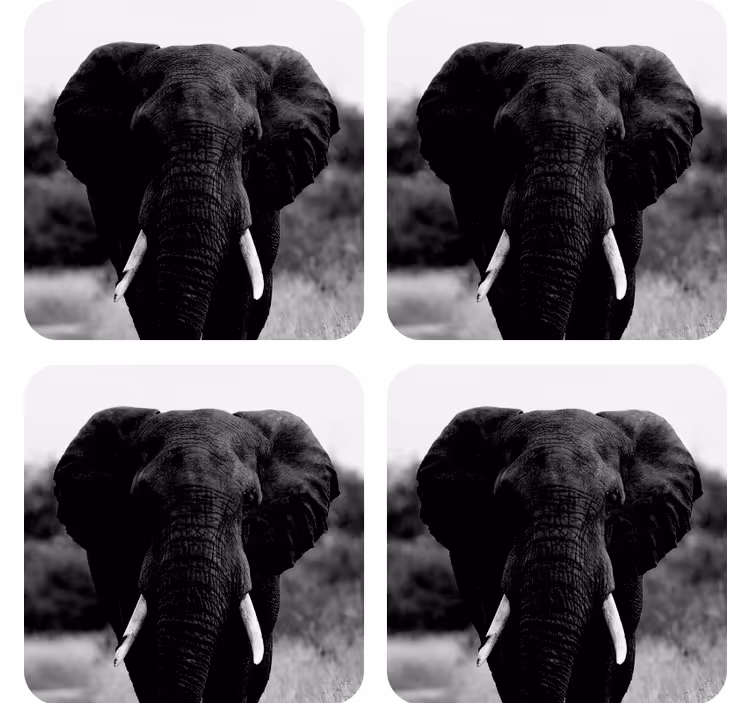 Vintage onderzetters monochrome olifantenportretten - TenStickers