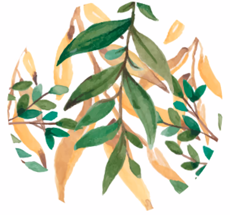 Bier onderzetters bladerige groene botanisch - TenStickers