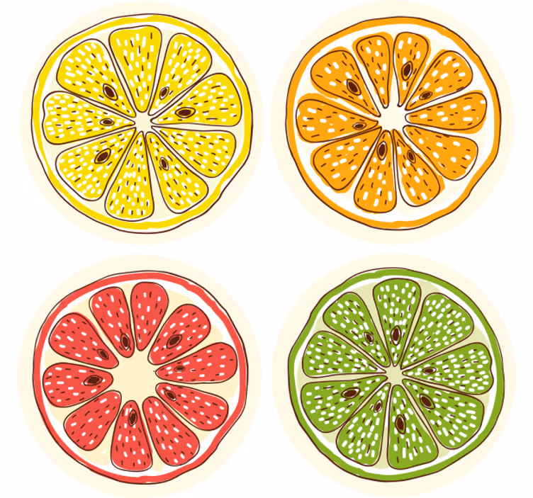 Motieven van citrusvruchtenschijfjes enge onderzetters - TenStickers