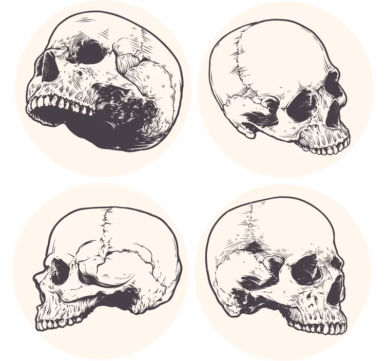 Enge onderzetters skull illustraties set - TenStickers