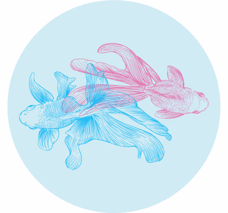 Enge onderzetters met tweekleurige vissenillustraties - TenStickers