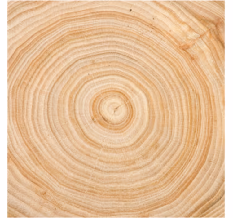Onderzetters houtnerf cirkel - TenStickers