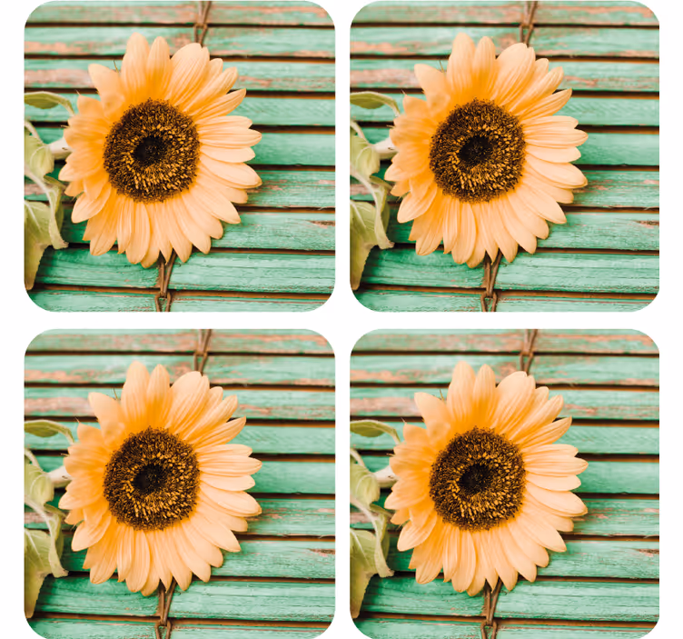Moderne onderzetters zonnebloem op groene achtergrond - TenStickers
