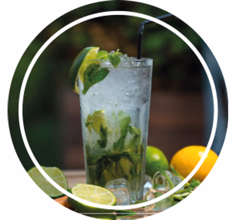 Moderne onderzetters verfrissende muntdrank - TenStickers