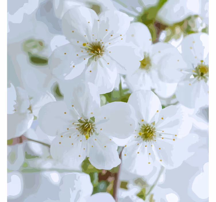 Onderzetters delicate kersenbloesems - TenStickers