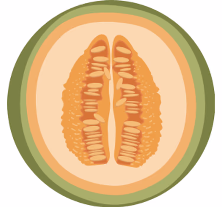 Enge onderzetters met fruitplakjes motieven - TenStickers