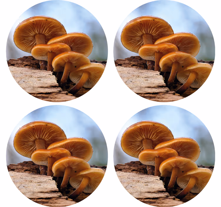 Moderne onderzetters paddenstoelencluster arrangement - TenStickers