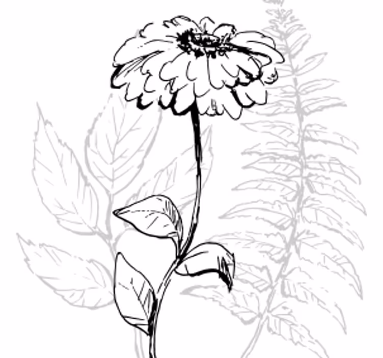 Onderzetters botanische lijntekeningen - TenStickers