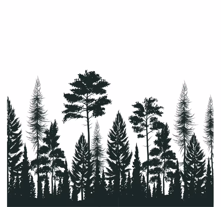 Onderzetters silhouet van lange dennen - TenStickers