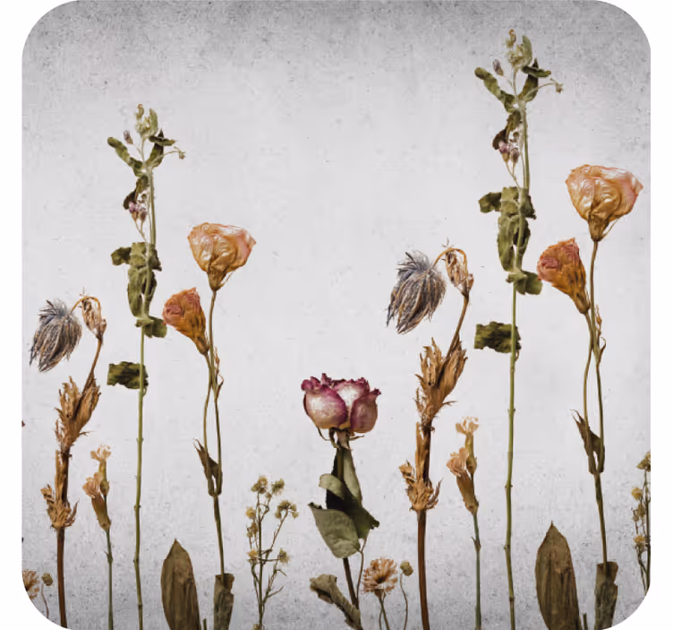 Onderzetters dried floral arrangement - TenStickers
