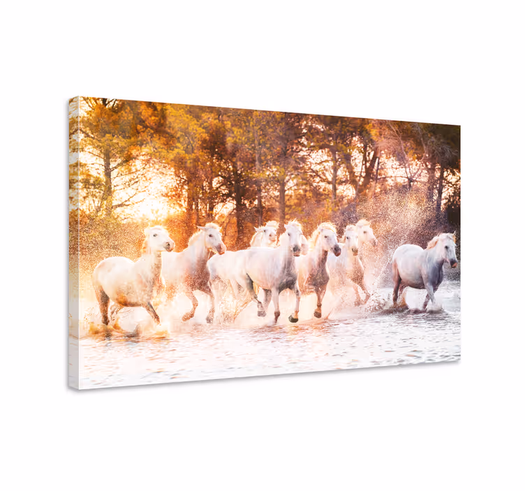 Paarden schilderij op canvas wilde paarden bij zonsondergang - TenStickers