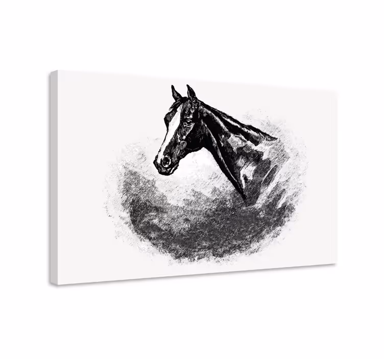 Paarden schilderij op canvas potloodtekeningen - TenStickers