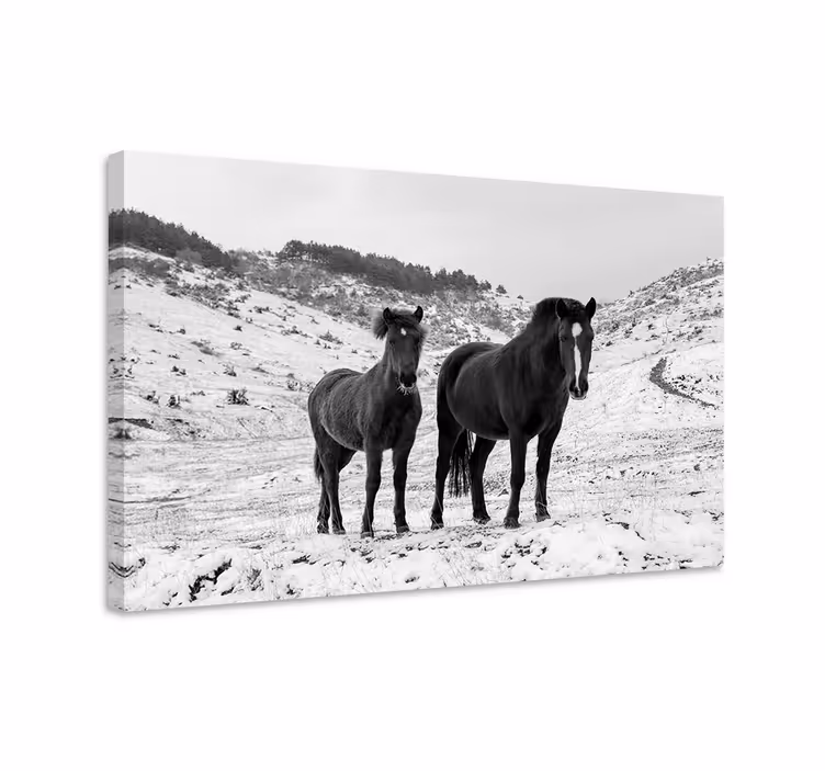 Paarden schilderij op canvas paarden in de sneeuw - TenStickers