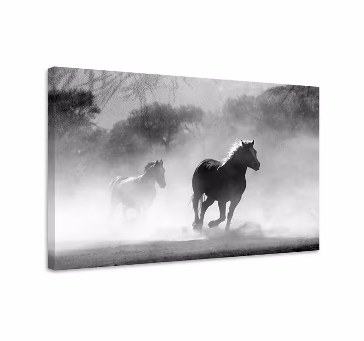 Paarden schilderij op canvas witte en zwarte paard - TenStickers