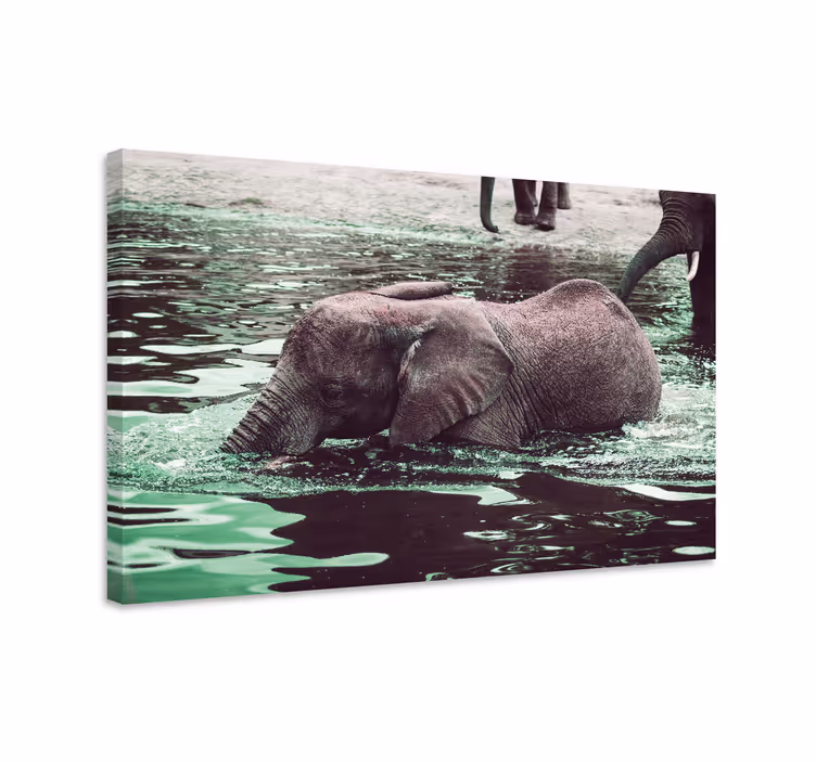 Canvas schilderij olifant drinkende baby olifanten - TenStickers