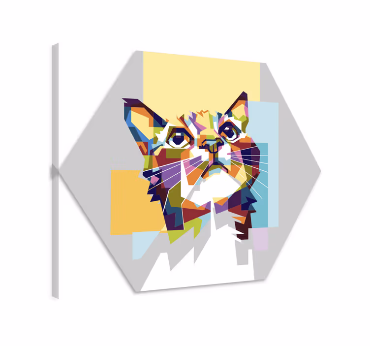 Canvas schilderij kat kleurrijke kat hoop - TenStickers