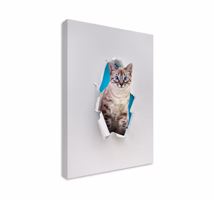 Canvas schilderij kat met een schattige kat - TenStickers