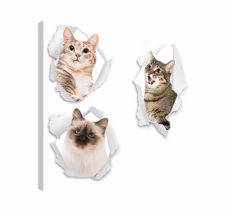 Canvas schilderij kat kittens trampantojo - TenStickers