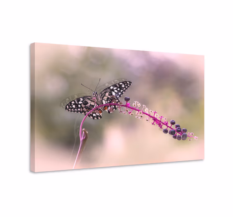 Canvas schilderij vlinder paarse vlinder - TenStickers