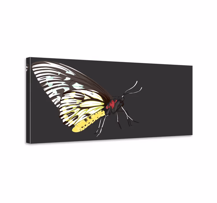 Canvas schilderij vlinder realistische gele vlinder - TenStickers