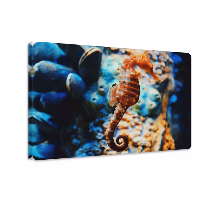 Canvas schilderij vis onderwaterwereld - TenStickers