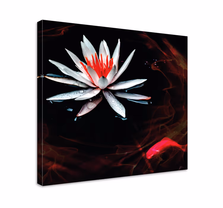 Canvas schilderij bloemen en planten lotus op water - TenStickers
