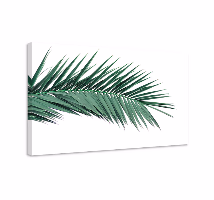 Canvas schilderij Tropisch plant blad - TenStickers