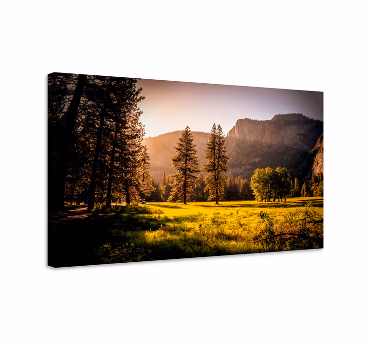 Canvas landschap gouden zonverlichte bossen - TenStickers