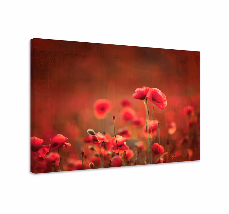 Canvas schilderij bloemen en planten stralend klaprozenveld - TenStickers