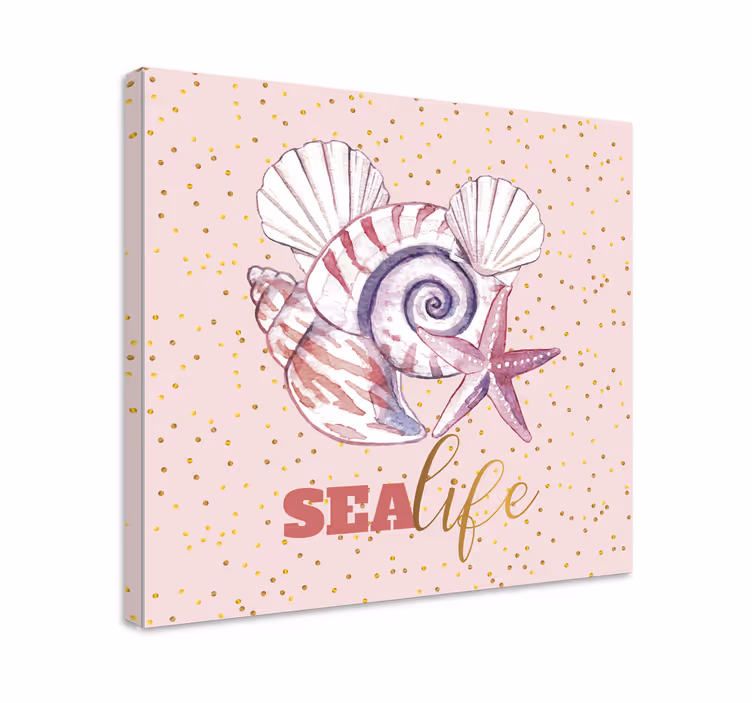 Canvas schilderij marine schelp en zeester - TenStickers
