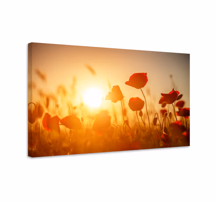 Canvas schilderij bloemen en planten klaproosveld glans - TenStickers
