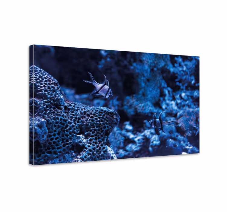 Canvas schilderij marine koraalrif vissen - TenStickers