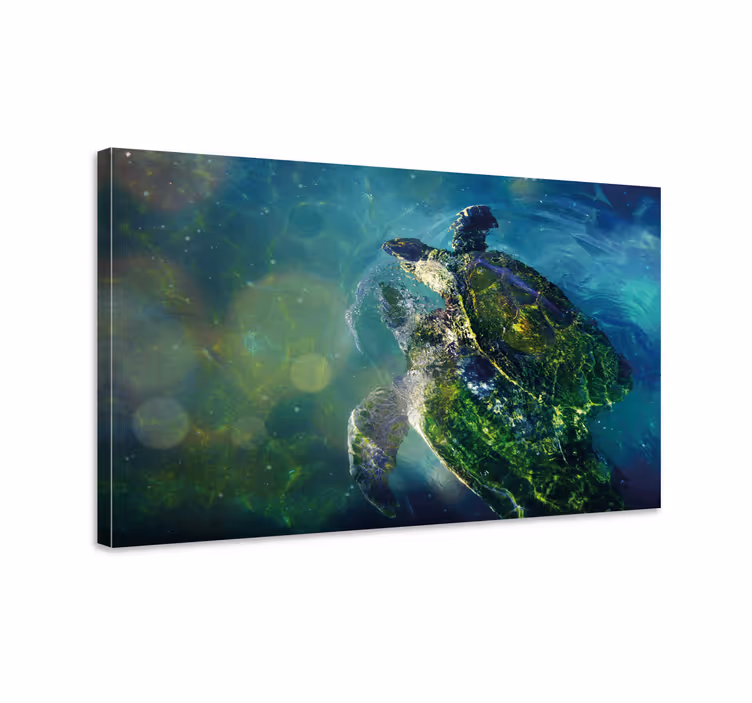 Canvas schilderij marine elegante zeeschildpad - TenStickers
