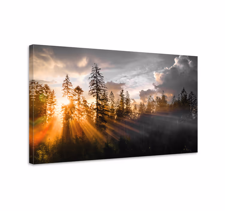 Canvas landschap Bos met mist en zon - TenStickers
