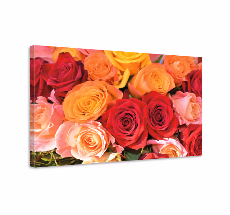 Oranjerode en roze rozen canvas - TenStickers